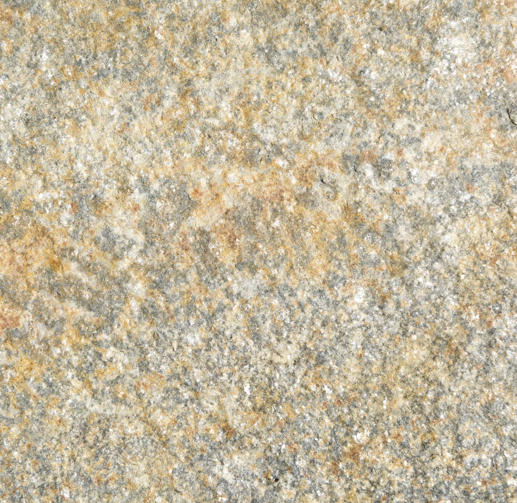  Gneiss Gris Roux