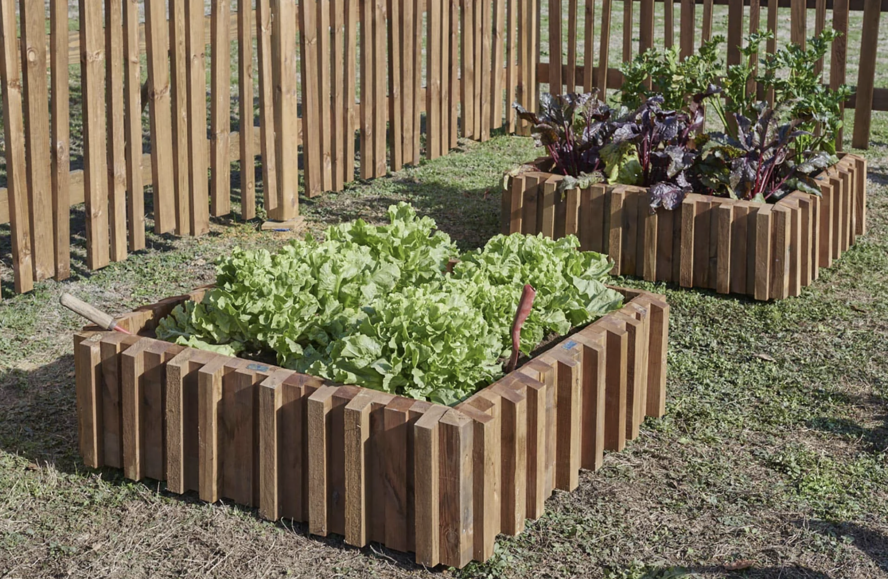 Carré Potager Métis 