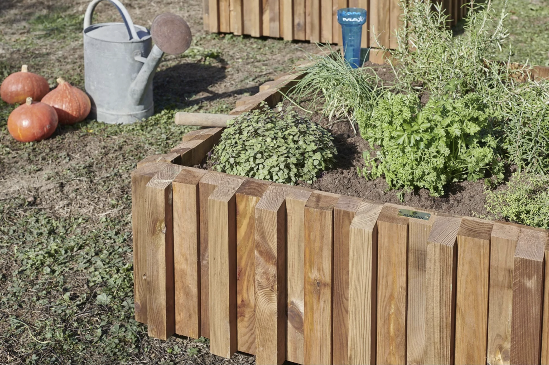 Carré Potager Métis 